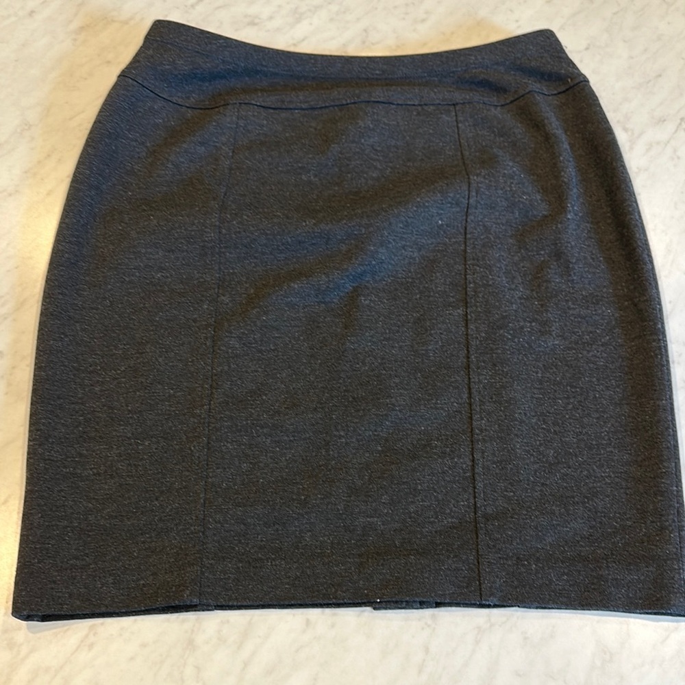 Ellen Tracy Woman’s Grey Pencil Skirt